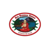 Big Buddha Seeds logo